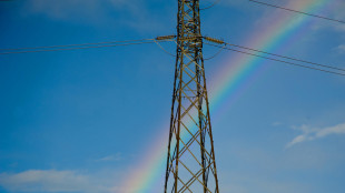Enea, prezzi energia primi 6 mesi fra i più alti in Europa