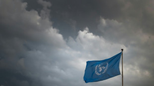 Record number of aid workers killed in 2024, UN says