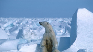 Biden limita explotaci&oacute;n de petr&oacute;leo en inmensa regi&oacute;n de Alaska