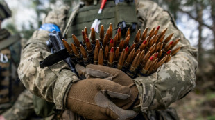 Gr&uuml;nen-Au&szlig;enpolitiker: H&auml;ngepartie um US-Ukraine-Hilfen zeigt Druck auf Europa