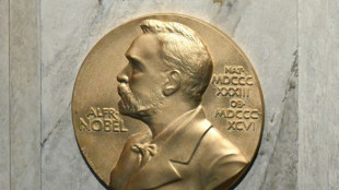 Schwedische Akademie gibt Gewinner des Physik-Nobelpreises bekannt