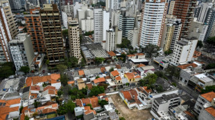 Una fiebre de construcci&oacute;n toma Sao Paulo