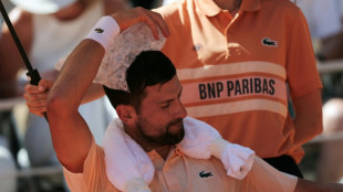 Roland-Garros: avec la canicule, Djokovic appelle &agrave; "repousser" les matches en soir&eacute;e