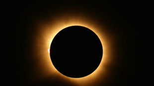 Eclipse solar presenteia milh&otilde;es de europeus com noite fugaz em pleno entardecer