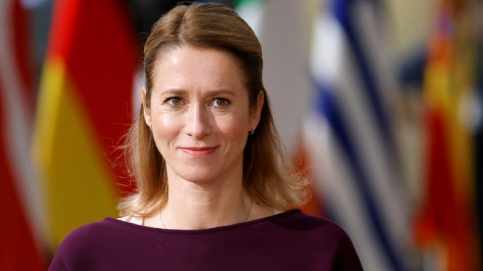 Estonia elige nuevo Parlamento con Ucrania de tel&oacute;n de fondo