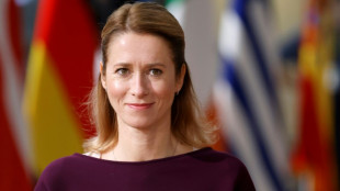 Estonia elige nuevo Parlamento con Ucrania de tel&oacute;n de fondo