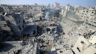 US calls for 'temporary, localized' pauses in Israel-Hamas war