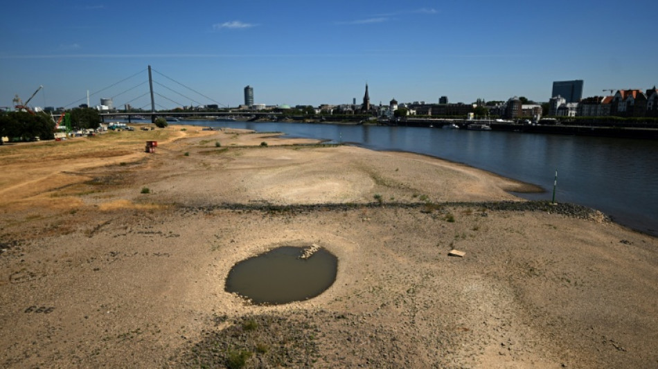 Niedrigwasser: Binnenschiffer legen Drei-Punkte-Plan vor