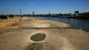 Niedrigwasser: Binnenschiffer legen Drei-Punkte-Plan vor