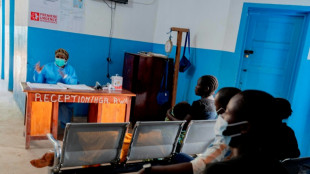 Ebola e hantav&iacute;rus confirmam que mundo continua despreparado, diz especialista em pandemias