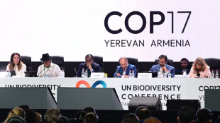 Nations agree crucial texts in overtime at UN nature summit
