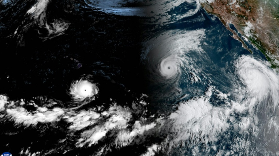 Rare train of Pacific cyclones fueled by historic El Nino