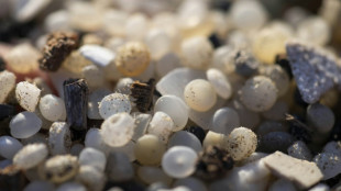 Mikroplastik: EU-Parlament beschließt Vorschriften für Kunststoffhersteller