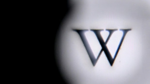 "Grokipedia": Musk bringt Wikipedia-Alternative heraus