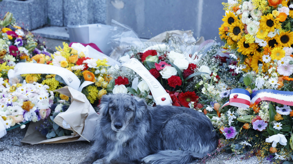 La tomba di Brigitte Bardot accessibile al pubblico, 'grazie B.B.'