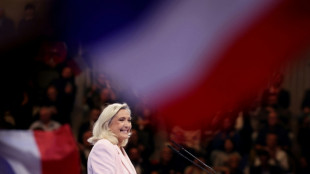 Juristische Debatte &uuml;ber Nichtw&auml;hlbarkeit von Le Pen flammt auf