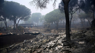 Incendies en Espagne: "La lumi&egrave;re au bout du tunnel", le retour des sinistr&eacute;s commence