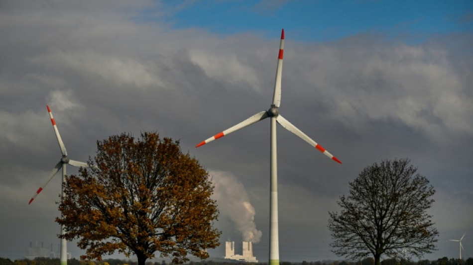 &Ouml;kostromanteil steigt 2024 auf knapp 60 Prozent 