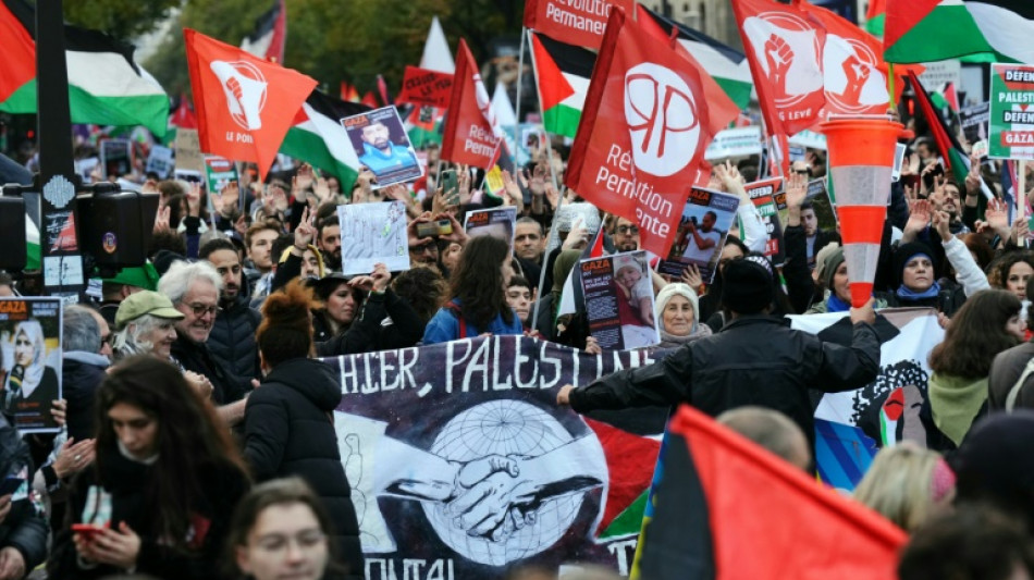 Paris protesters call for end to Gaza massacre