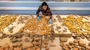 Knapp 2000 Jahre alte römische Wandgemälde in London gefunden und rekonstruiert