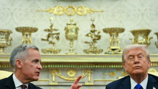 Trump says all Canada trade talks 'terminated' over 'fake' ad