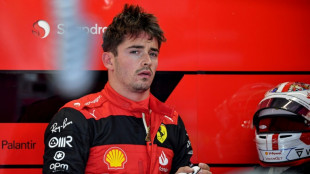 Leclerc es m&aacute;s r&aacute;pido que Verstappen en los primeros libres de GP de Francia