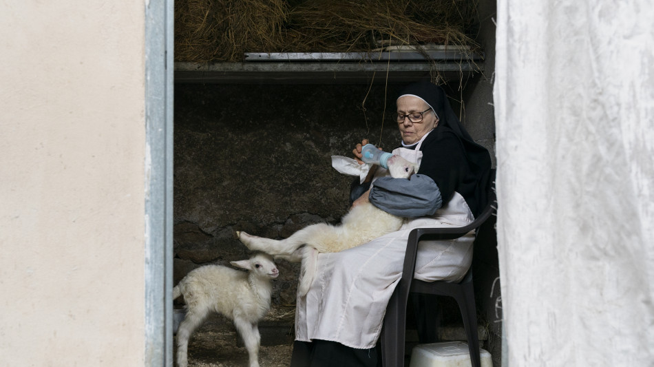 In sala Agnus Dei, la cura e la fede con sguardo laico
