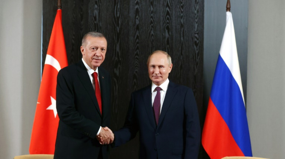 Putin se reunir&aacute; el lunes con el presidente de Turqu&iacute;a en el sur de Rusia