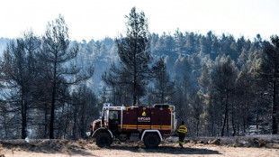 El primer gran incendio del a&ntilde;o en Espa&ntilde;a evoluciona favorablemente