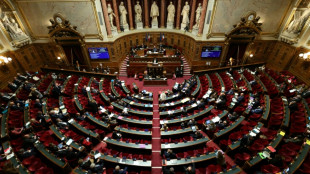Nouvelle-Cal&eacute;donie: le S&eacute;nat adopte une r&eacute;forme constitutionnelle au parcours tr&egrave;s incertain