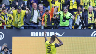 Königsklasse im Blick: BVB dank Guirassy und Adeyemi auf Kurs