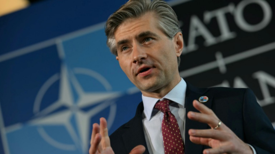 Litauen fordert nach Fund russischer Drohne Hilfe der Nato bei Luftverteidigung an