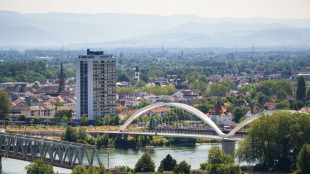 Baden-W&uuml;rttembergs AfD-Fraktion scheitert in Streit um Stellvertreter in Oberrheinrat