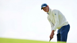 Fleetwood joins amateur Lamprecht at top of British Open leaderboard