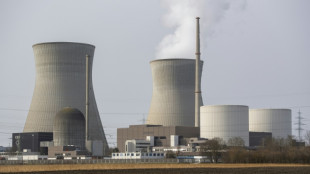 Lindner st&ouml;&szlig;t mit Vorsto&szlig; f&uuml;r neue Atomkraft-Debatte auf Widerstand