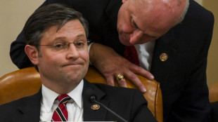 US Republicans try, try again with fourth speaker nominee