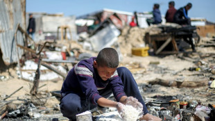 En una Gaza azotada por el hambre, los palestinos recurren a la carne de tortuga