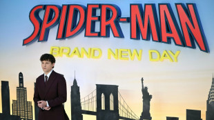 Spidey swings high for third weekend in N. American box office