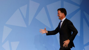 Pa&iacute;ses Bajos celebrar&aacute; elecciones legislativas anticipadas el 22 de noviembre