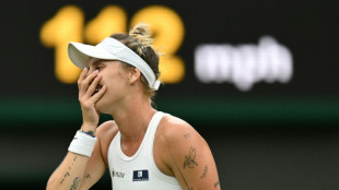 Unseeded Vondrousova digs deep to reach Wimbledon semis