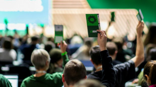 Grüne beraten auf Parteitag über Stärkung der Kommunen