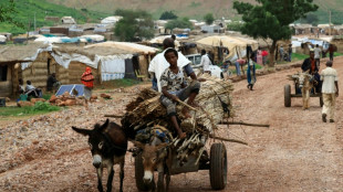 Hallan en Sud&aacute;n 15 cad&aacute;veres de rebeldes et&iacute;opes de Tigr&eacute;, seg&uacute;n una fuente m&eacute;dica