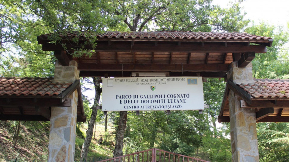 Tracciabilità satellitare su tre cicogne nere nate in Basilicata