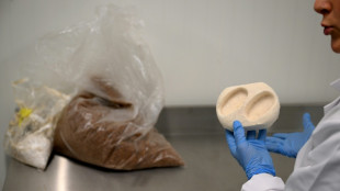 "Fini la pétrochimie": à Bruxelles, des emballages à base de champignons 