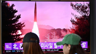 Corea del Norte dispara dos misiles de corto alcance hacia el mar de Jap&oacute;n