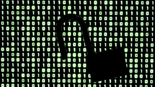 Fallos de seguridad detectados por la IA causan problemas en webs de todo el mundo