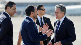 Blinken discusses sea route for Gaza aid with Cyprus president