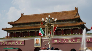 Cina, -13,2% gli investimenti diretti esteri nei primi 5 mesi