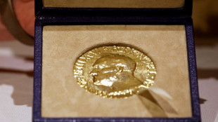 La Fundaci&oacute;n Nobel da marcha atr&aacute;s y cancela invitaci&oacute;n a embajador ruso