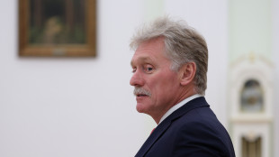 Cremlino, 'azioni legali contro chi ruba nostri capitali'